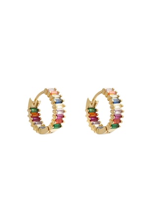 Earrings Summertime Multi Copper h5 